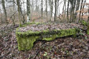 Ligne Maginot - BOIS DE CRUSNES 1 - (Blockhaus de type indéterminé) - 