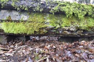 Ligne Maginot - BOIS DE CRUSNES 1 - (Blockhaus de type indéterminé) - 