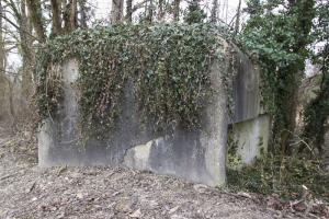 Ligne Maginot - FAHRKOPF NORD - (Blockhaus pour arme infanterie) - 