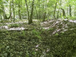 Ligne Maginot - GEUDERTHEIM - (Position ALVF) - Plateforme du premier épi de la position