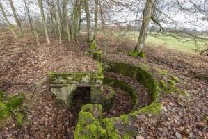 Ligne Maginot - BANNWALD 1 - (Cuve pour arme d'infanterie) - Vue d'ensemble.