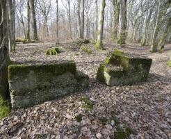 Ligne Maginot - PFAFFENKLAUSERBUSCH 2 - (Blockhaus pour arme infanterie) - Un bouclier pour une arme d'infanterie.