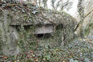 Ligne Maginot - A33 - (Blockhaus pour arme infanterie) - Les embrasures du blockhaus