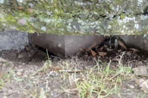 Ligne Maginot - AERODROME D'ENTZHEIM - (Observatoire d'infanterie) - La guérite pentagonale noyée dans le bétonnage
L'embrasure ne laisse apparaitre que les deux créneaux d'observation frontaux de la guérite