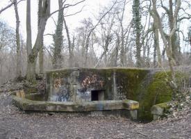 Ligne Maginot - OBERJAEGERHOFF - (Abri) - L'entrée gauche