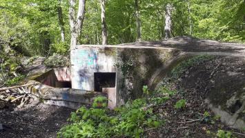 Ligne Maginot - OBERJAEGERHOFF - (Abri) - A droite, l'entrée du PC
Au fond à gauche, l'entrée de la chambre de tir