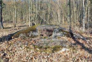 Ligne Maginot - RHIN TORTU - (Observatoire d'infanterie) - 