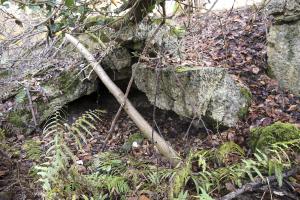 Ligne Maginot - RHIN TORTU 4 - (Abri) - Les ruines de l'abri