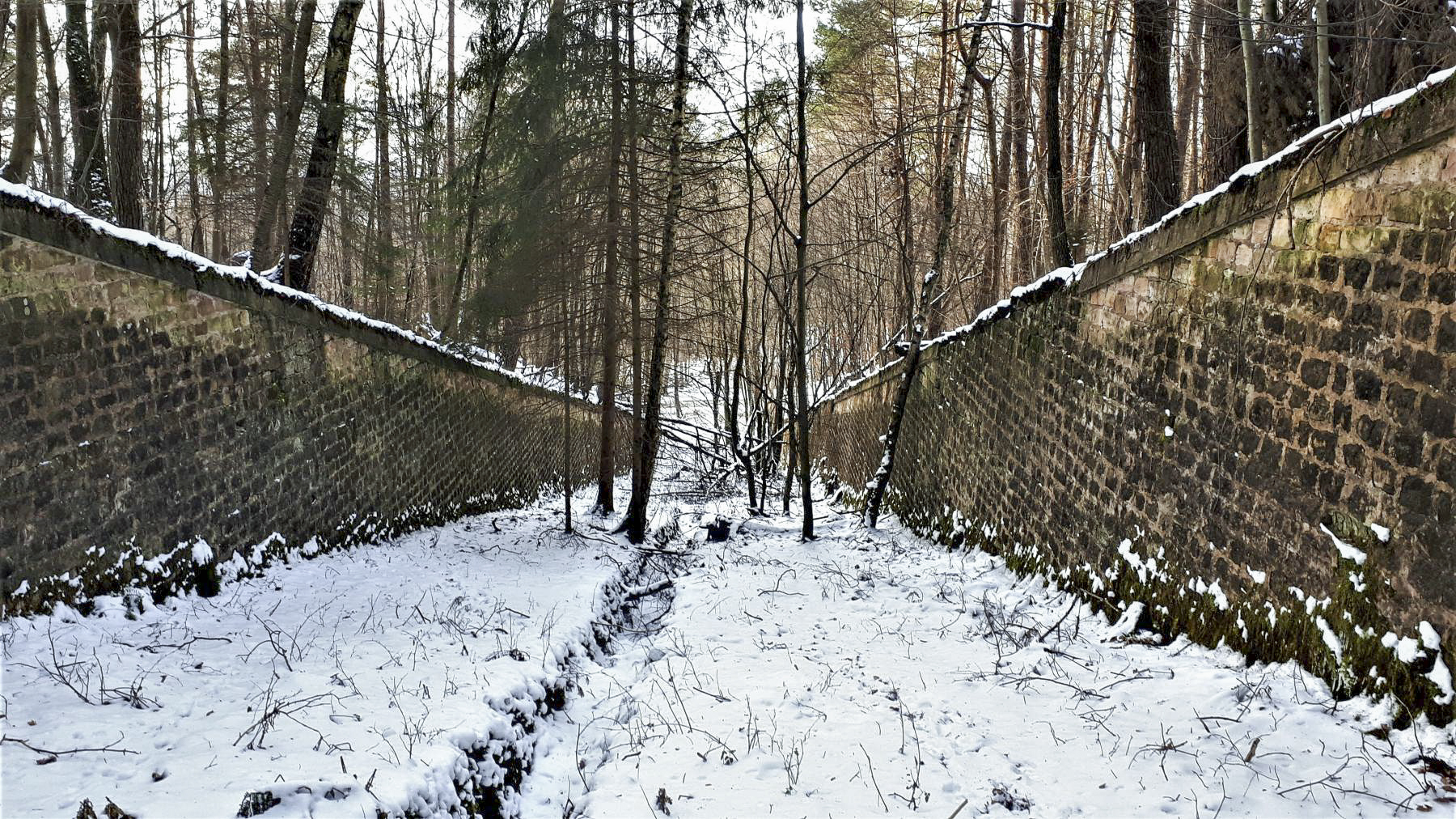 Ligne Maginot - HOCHWALD (fossé antichar du) (Obstacle antichar) - Le fossé antichar au niveau de la casemate C1