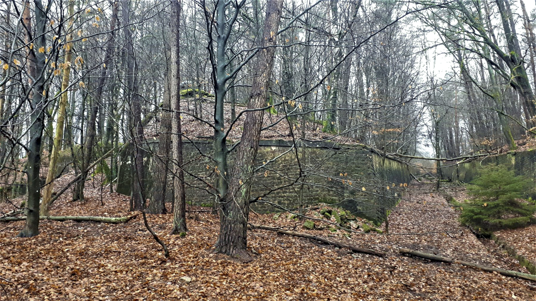 Ligne Maginot - HOCHWALD (FOSSé ANTICHAR DU) - (Obstacle antichar) - Le mur d'escarpe entre la casemate C6 et l'extrémité du fossé de la casemate C5