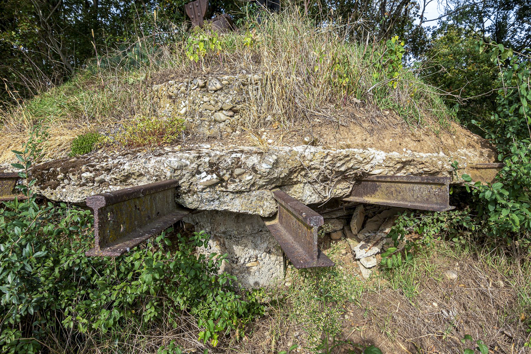 Ligne Maginot - OBERWALD SUD OUEST - (Observatoire d'infanterie) - 