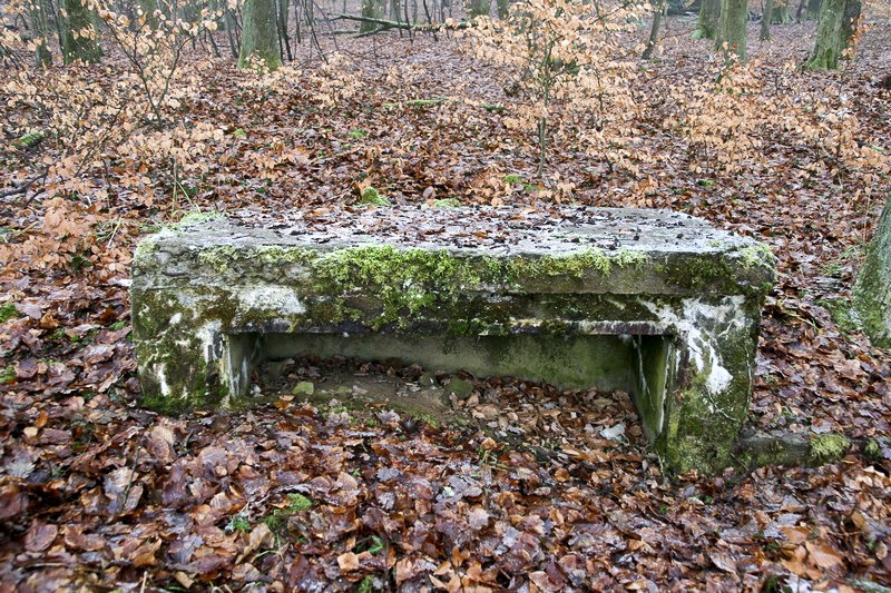 Ligne Maginot - HOCHWALD OUEST 1 - (Cuve pour canon) - La niche à munitions