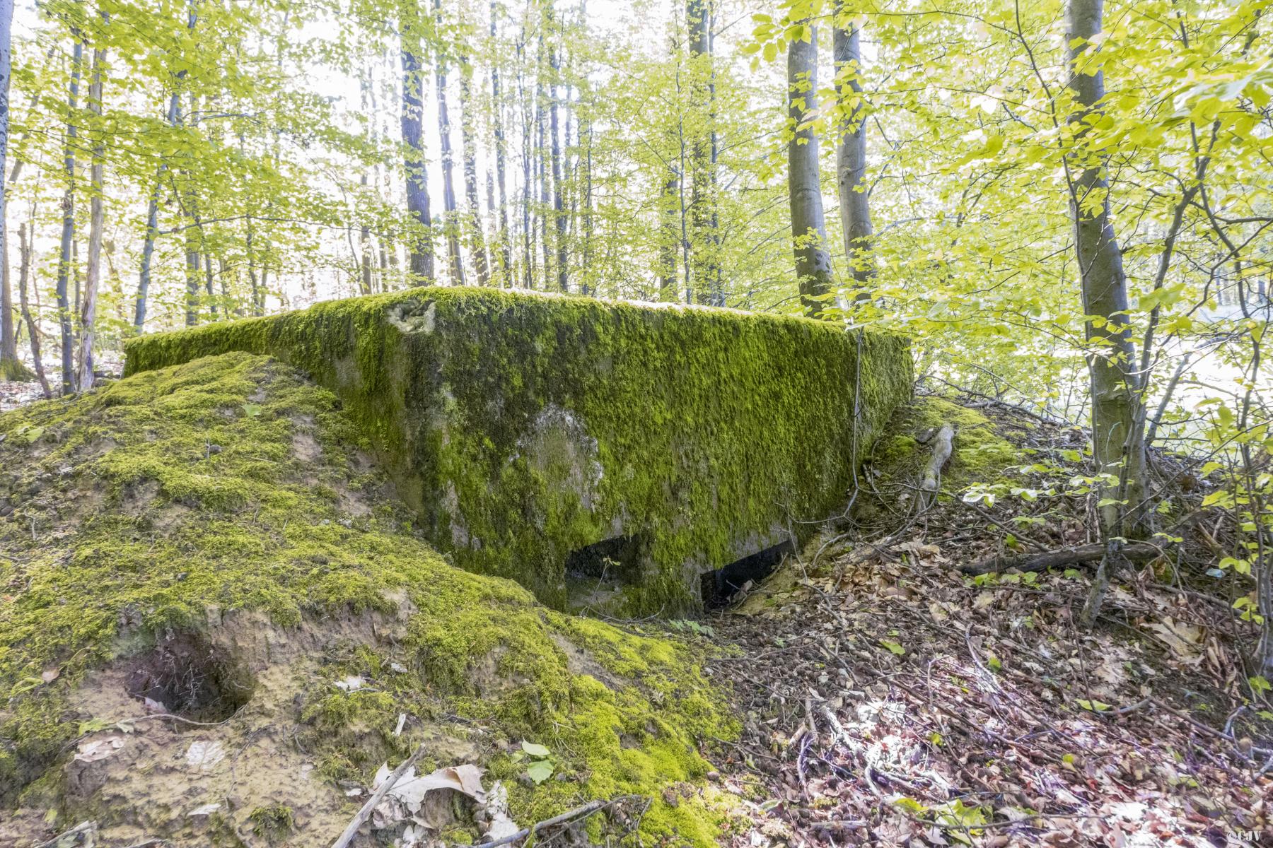 Ligne Maginot - OBERWALD - (Blockhaus pour arme infanterie) - 