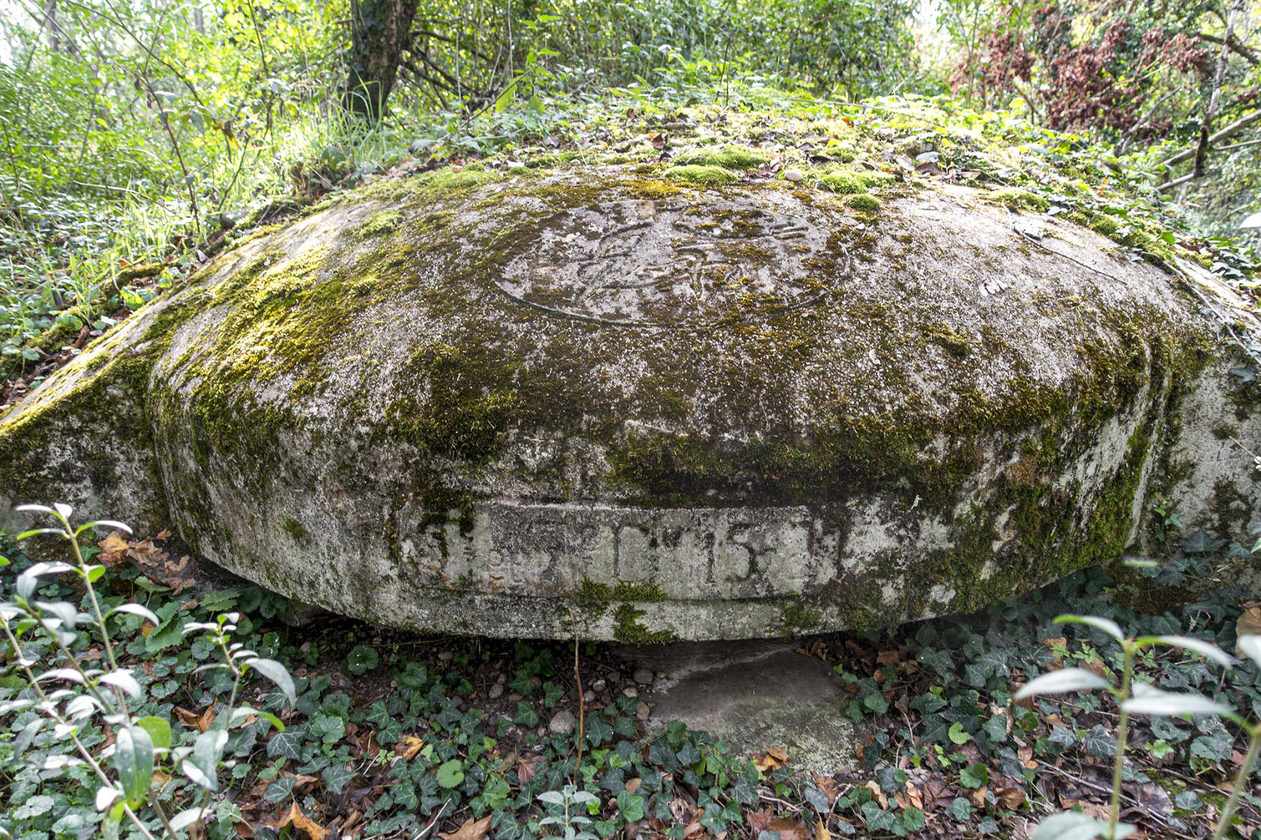 Ligne Maginot - OBERWALD SUD NORD-EST - (Blockhaus pour arme infanterie) - 