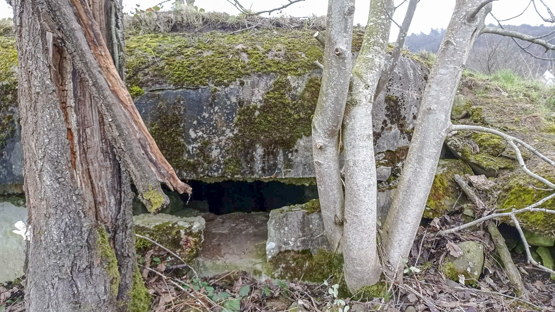 Ligne Maginot - PFAFFENBRONN 7 - (Blockhaus pour arme infanterie) - Détail du créneau gauche