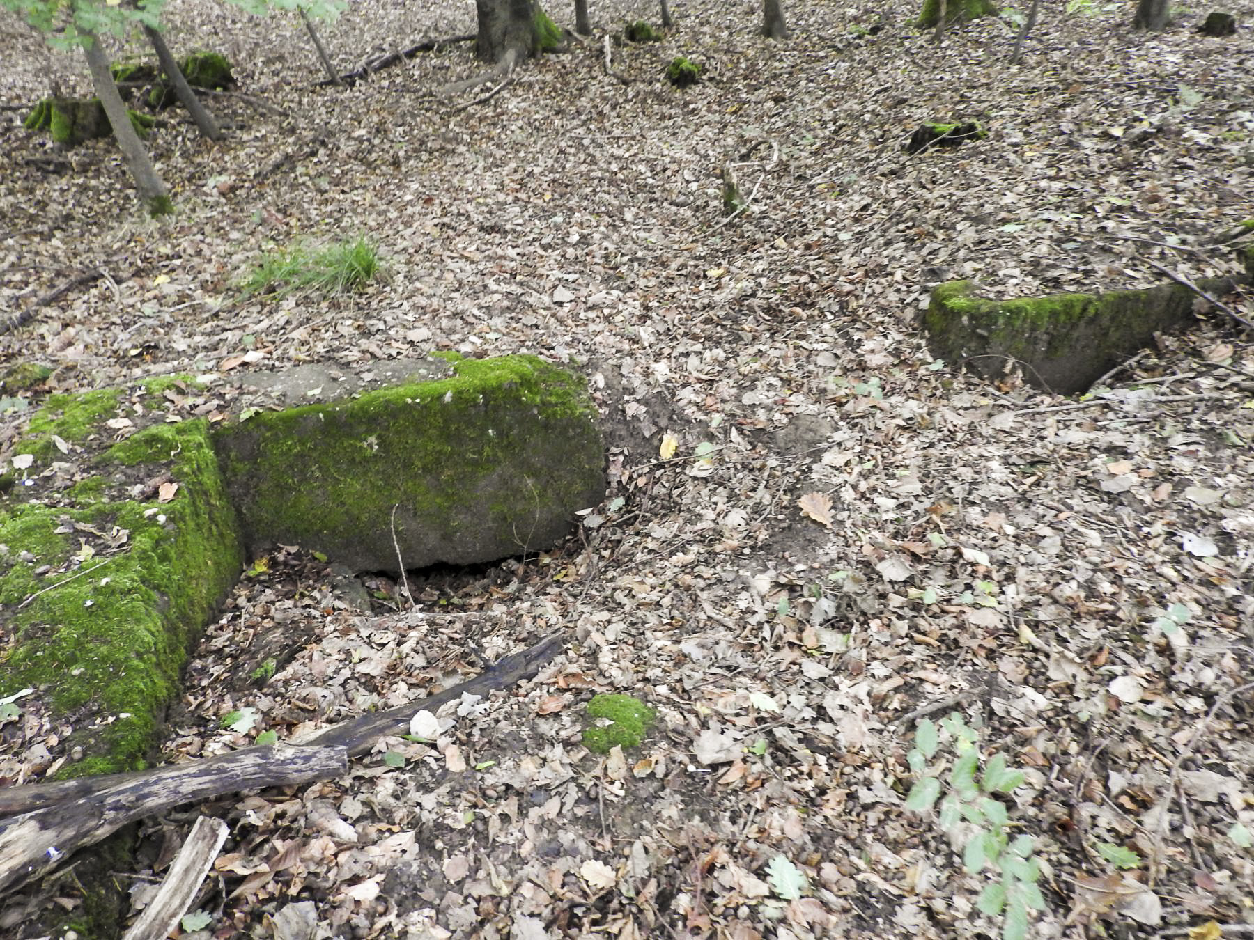 Ligne Maginot - ROTTENWALD 2 - (Cuve pour canon) - Les restes en partie remblayés de la cuve