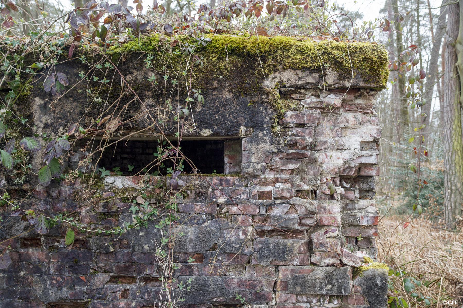 Ligne Maginot - ROUTE FORESTIERE DE LAUBACH 2 - (Blockhaus pour canon) - 