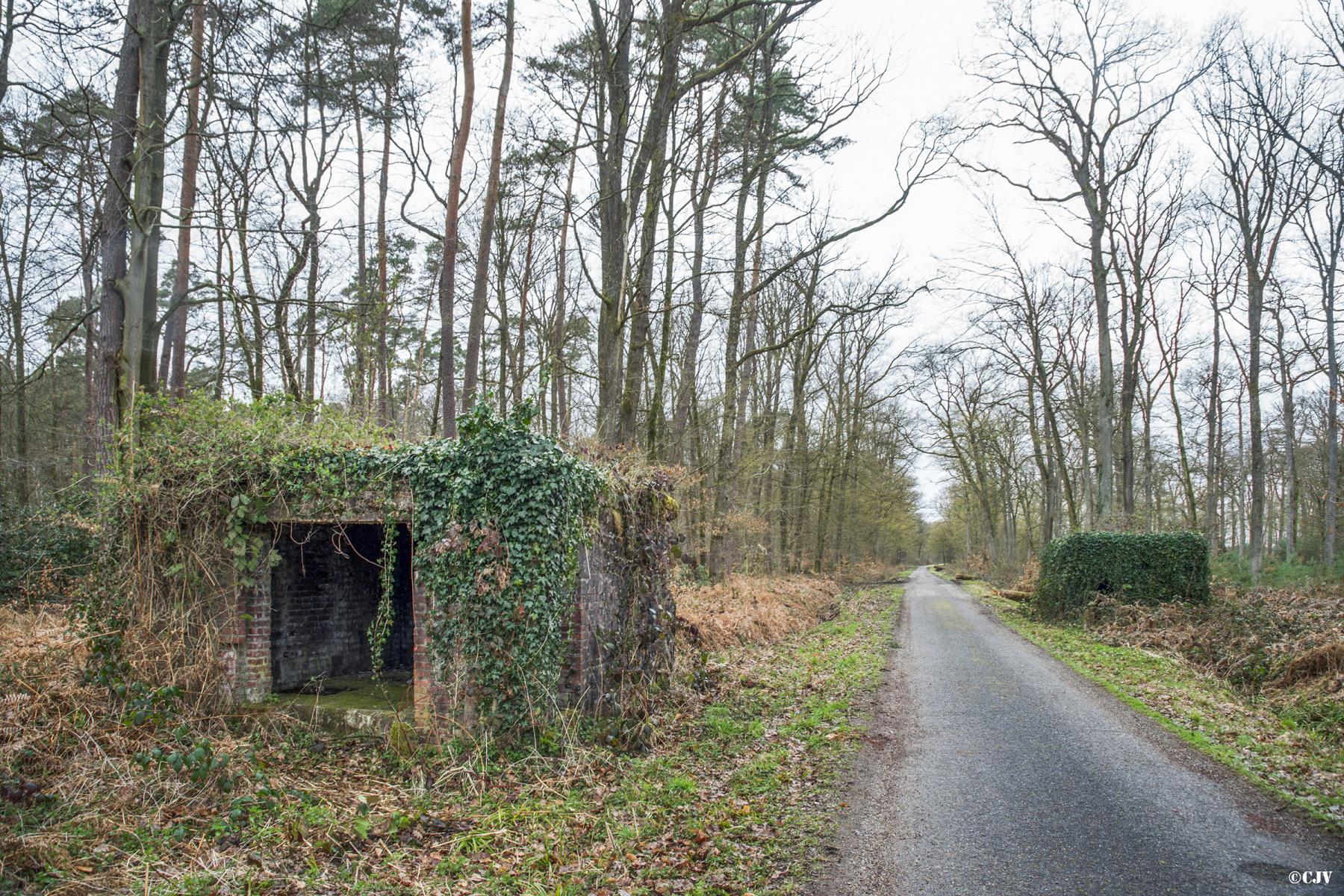 Ligne Maginot - ROUTE FORESTIERE DE LAUBACH 2 - (Blockhaus pour canon) - Vue du point d'appui avec les deux blockhaus de part et d'autre de la route