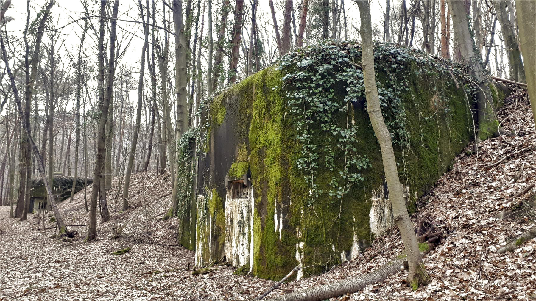 Ligne Maginot - WALKMUHL - (Abri) - Le coffre ouest