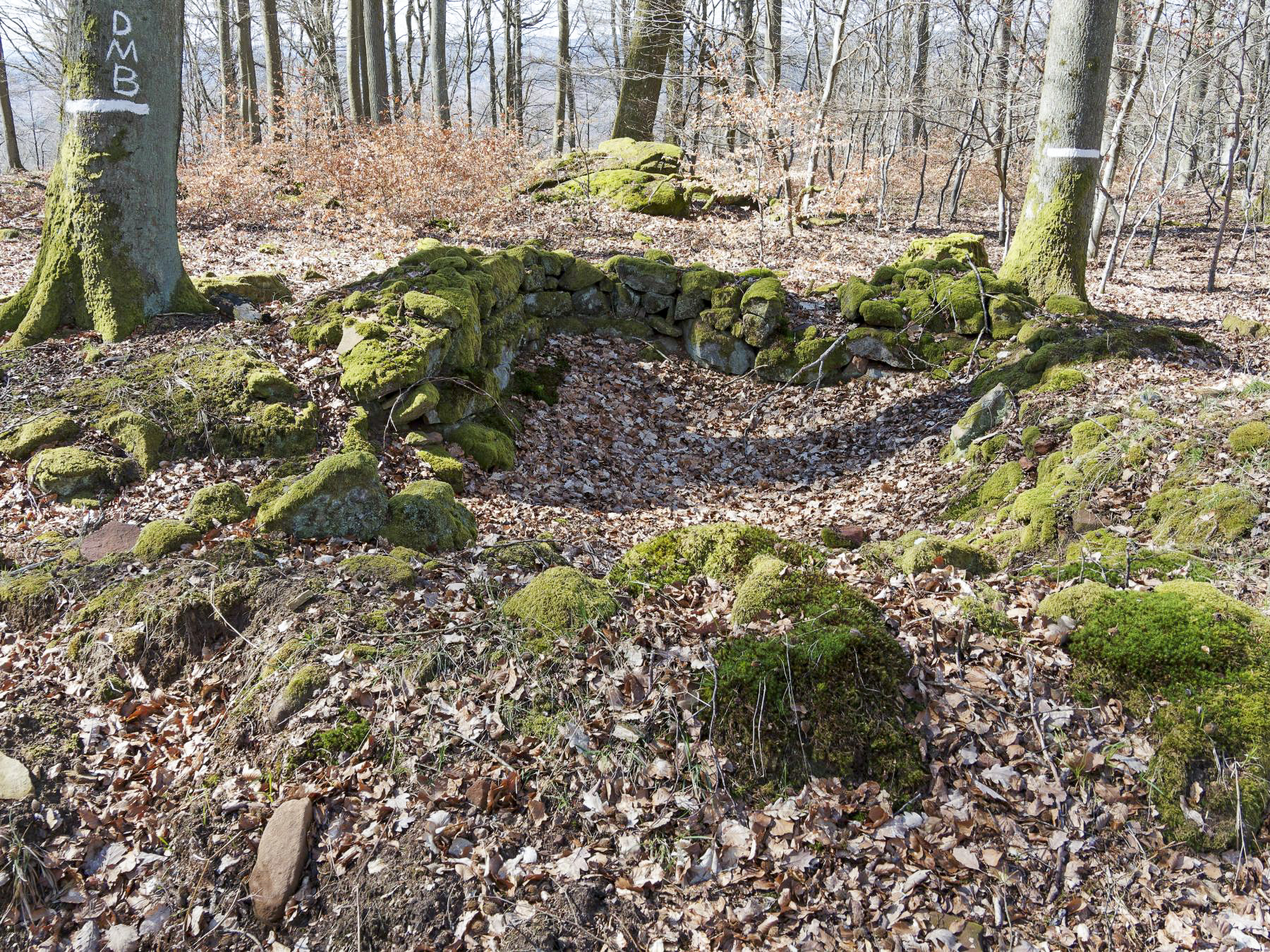 Ligne Maginot - PLATEAU D'EXIL (POINT D'APPUI) - (Divers) - 