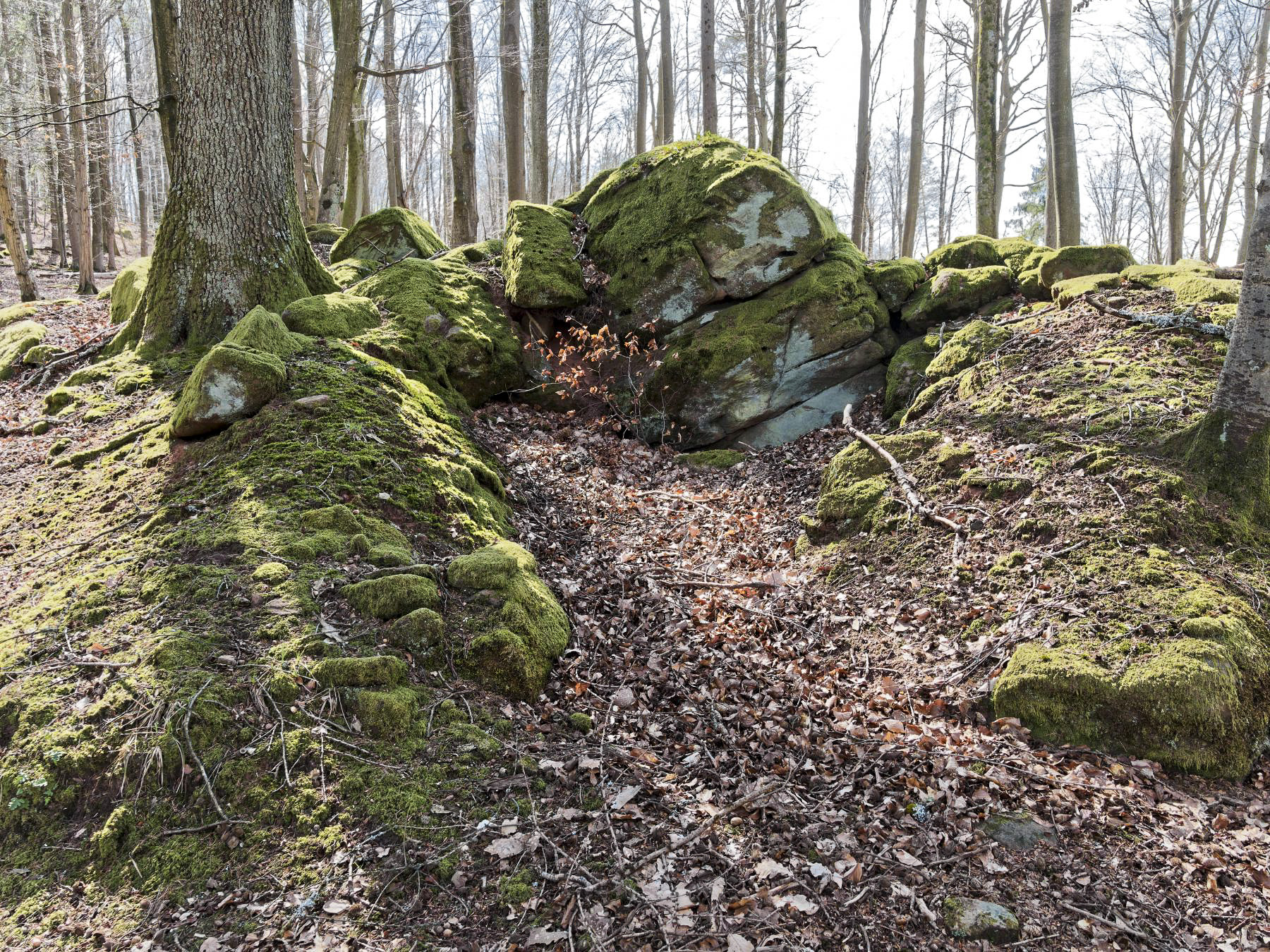 Ligne Maginot - PLATEAU D'EXIL (POINT D'APPUI) - (Divers) - 