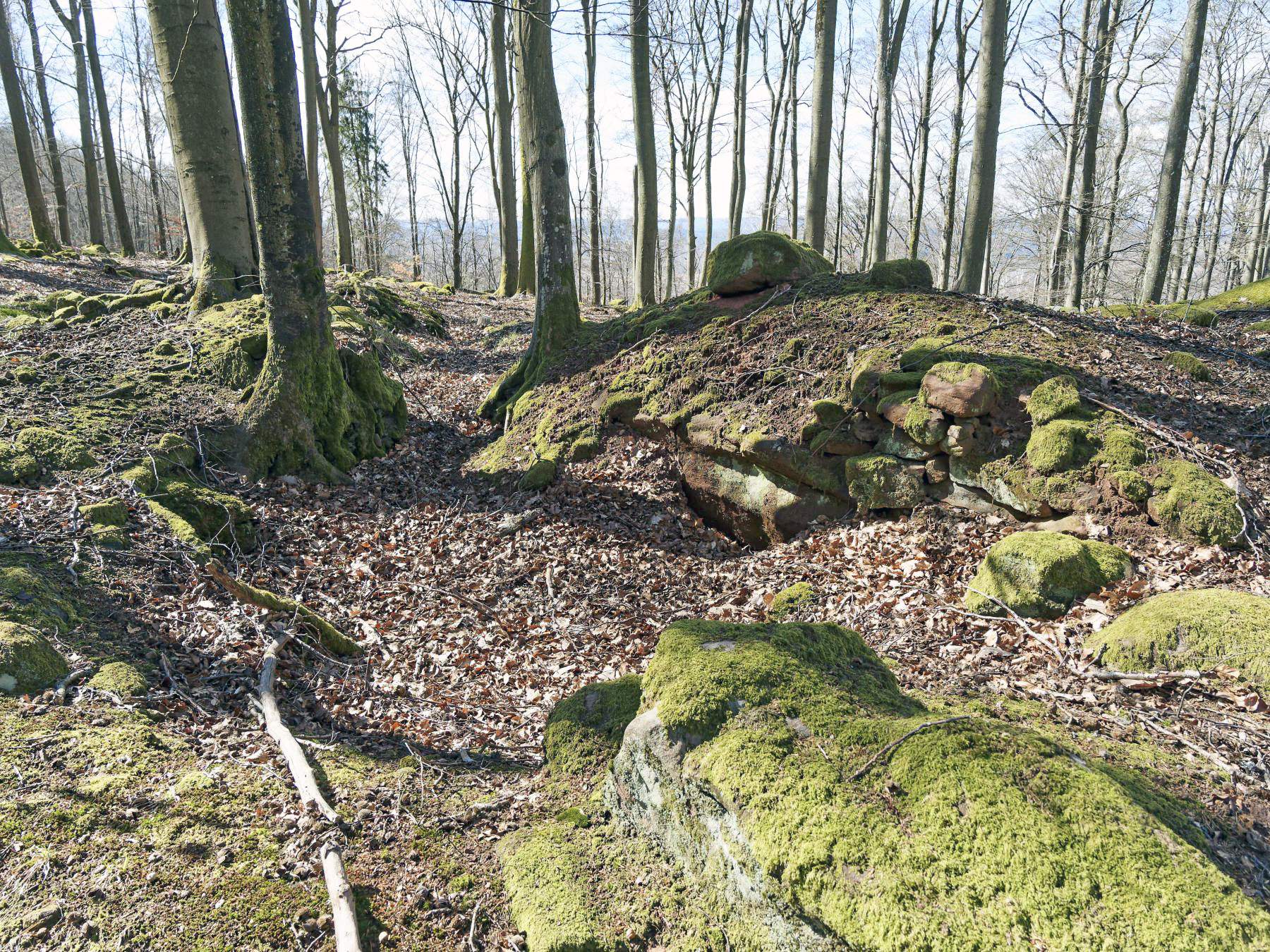 Ligne Maginot - PLATEAU D'EXIL (POINT D'APPUI) - (Divers) - 