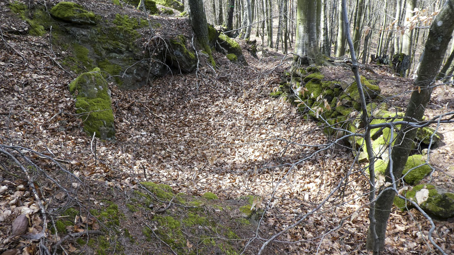 Ligne Maginot - HAUT-WARSBERG (POINT D'APPUI) - (Divers) - Tranchée périphérique
