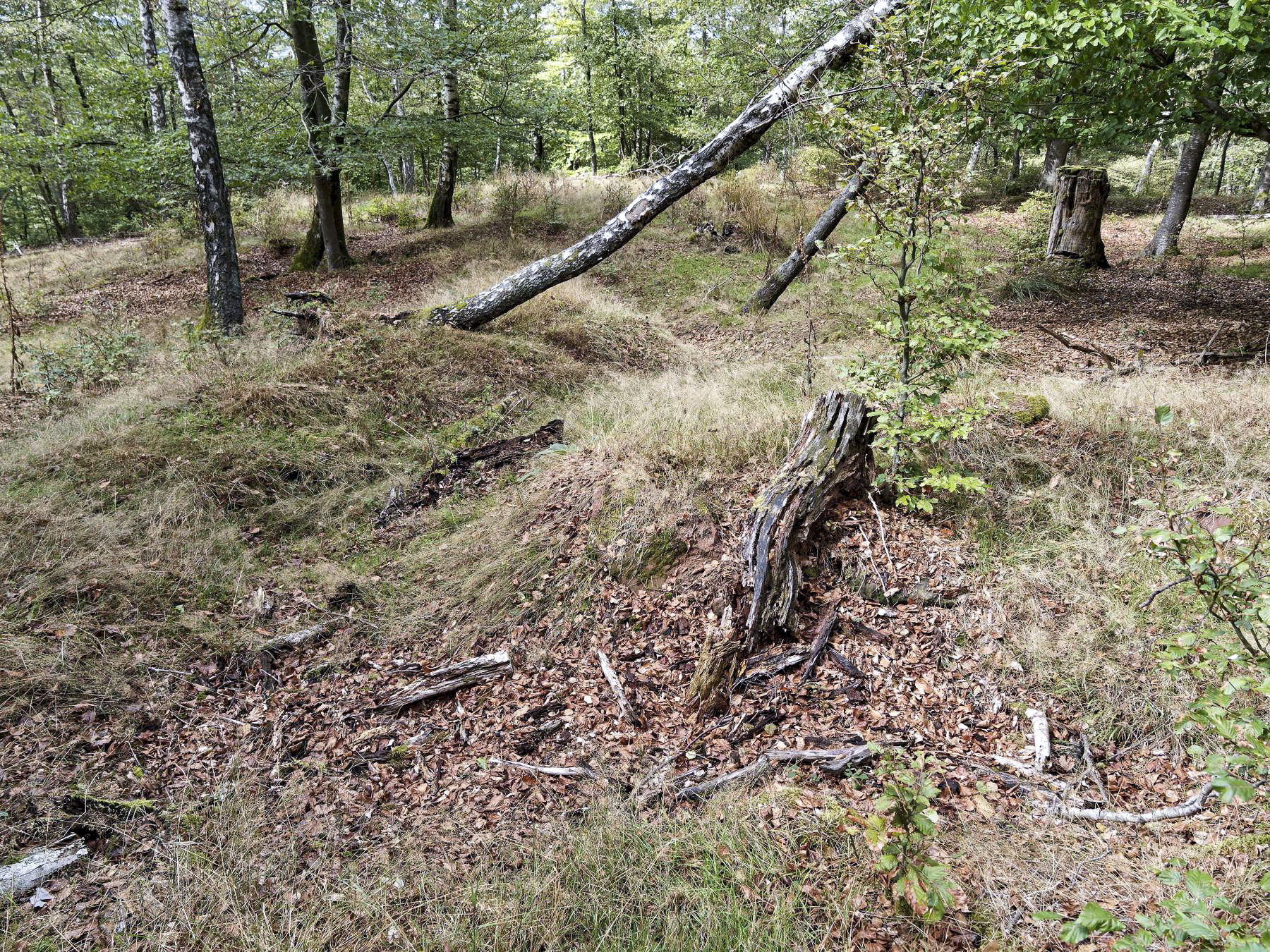 Ligne Maginot - KAMELSBERG (POINT D'APPUI) - (Divers) - Tranchées au sommet