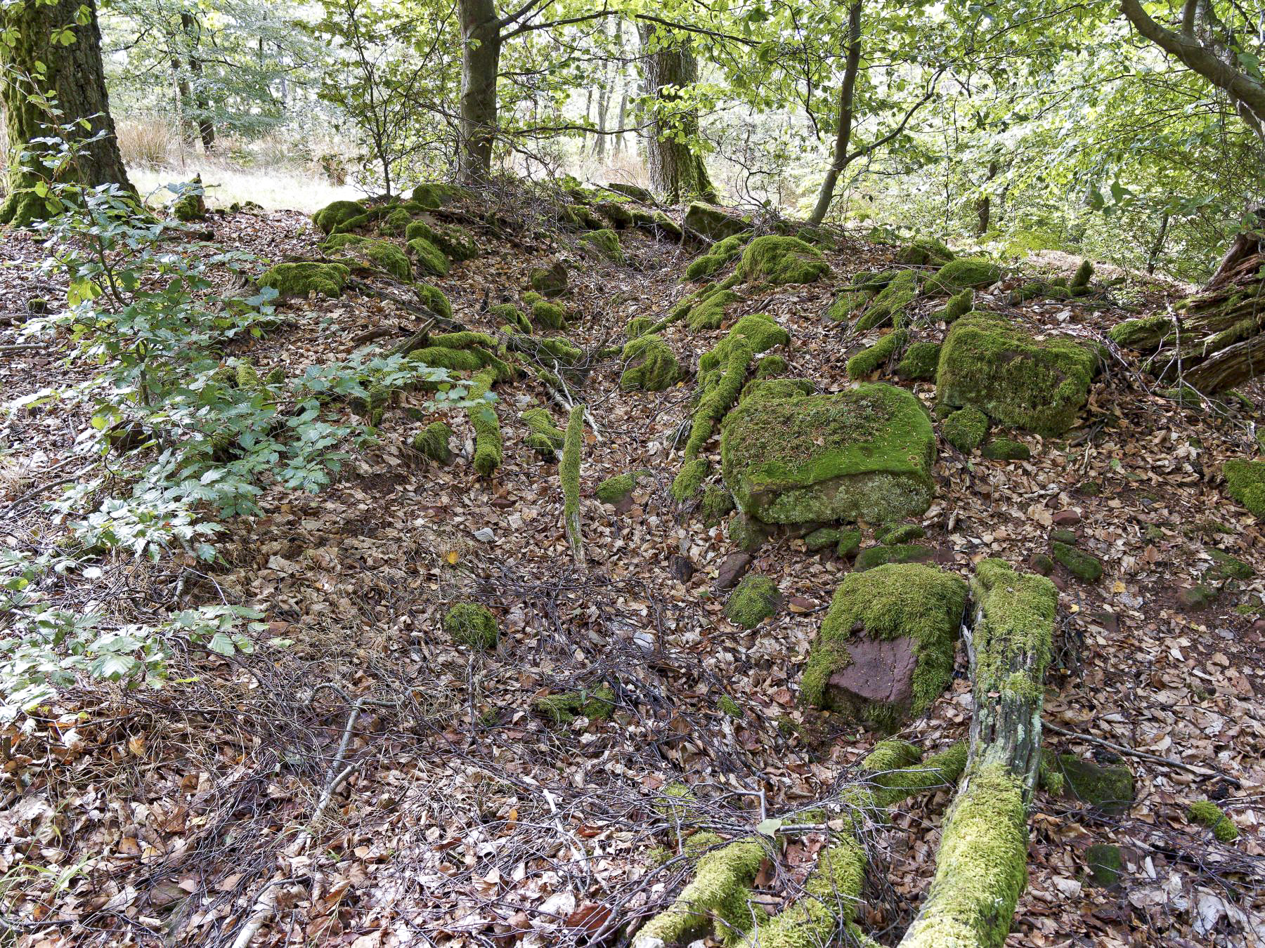 Ligne Maginot - KAMELSBERG (POINT D'APPUI) - (Divers) - Position fortifiée avec des pierres de lecture