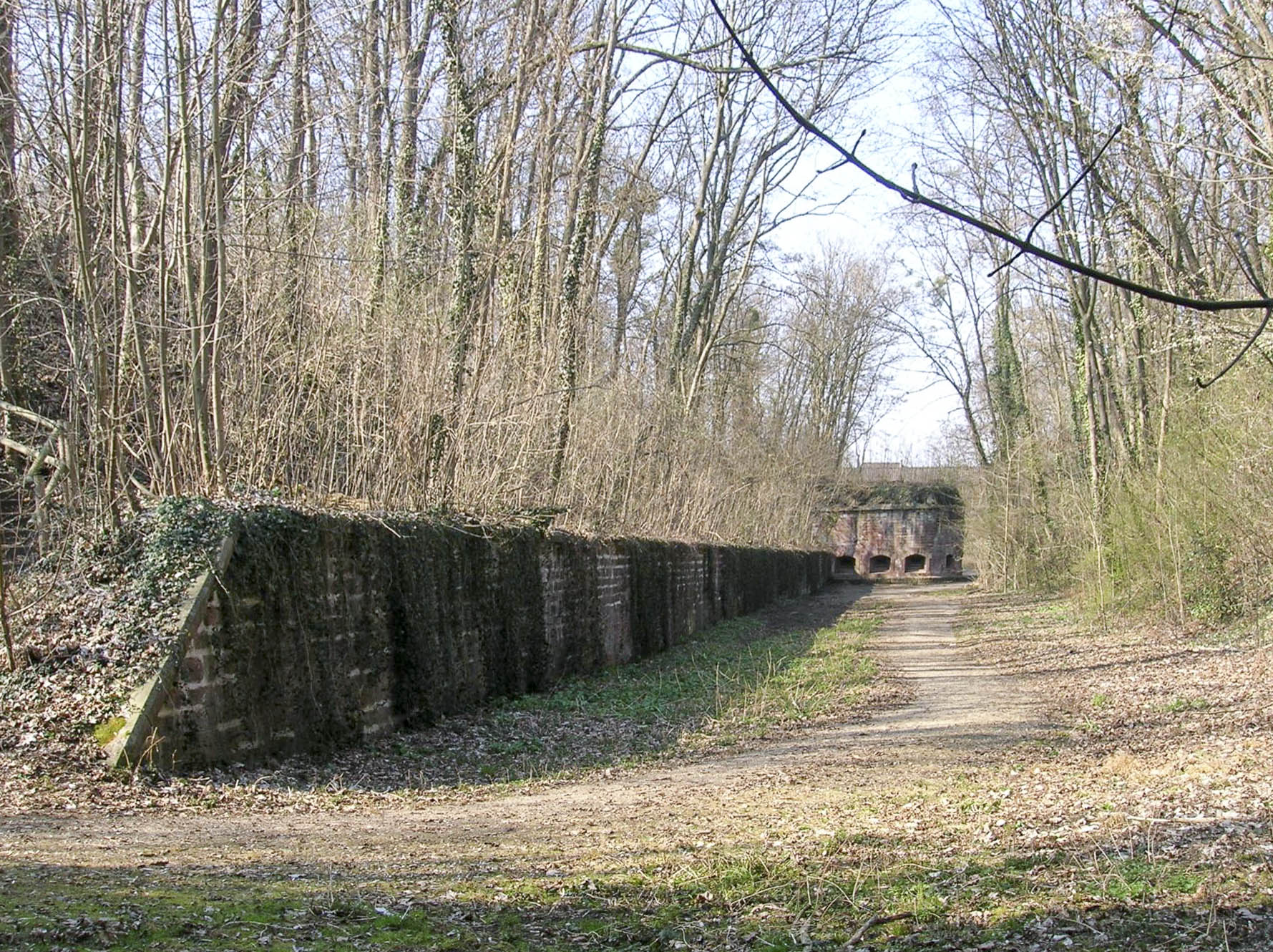 Ligne Maginot - JOFFRE-LEFEBVRE - (Position d'artillerie préparée) - Fossé du front de gorge