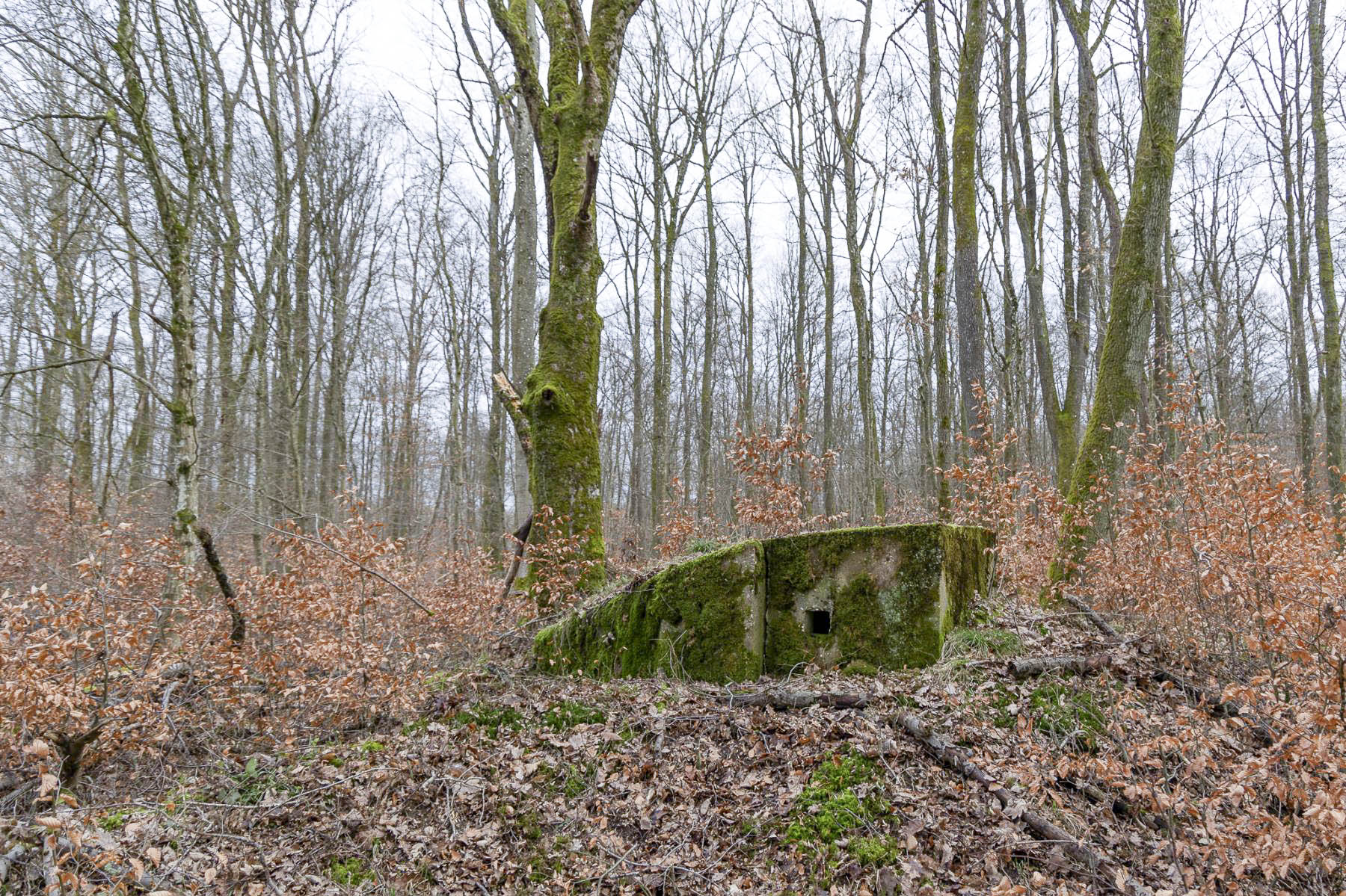 Ligne Maginot - FEEWALD - (Blockhaus pour arme infanterie) - 