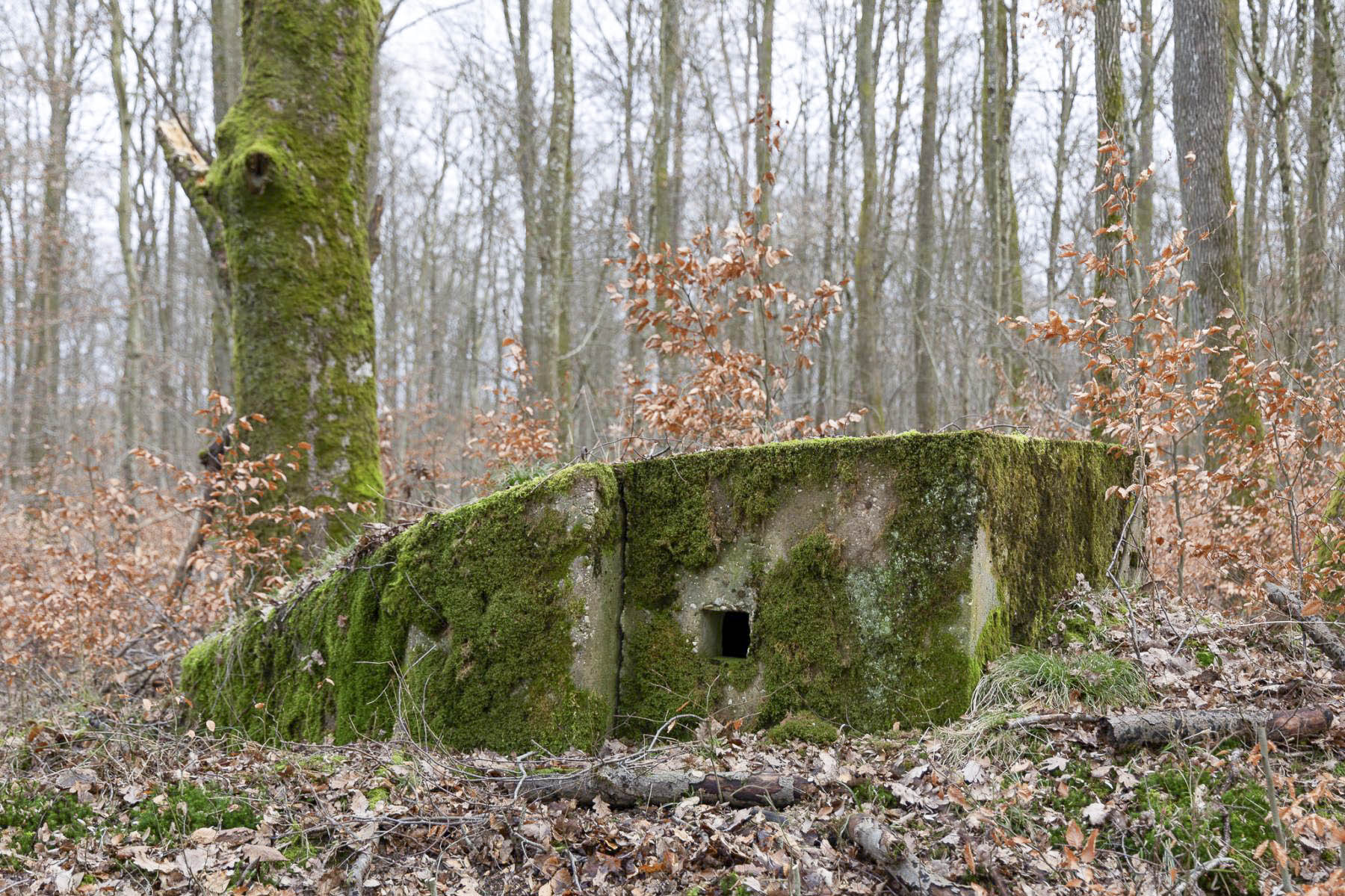 Ligne Maginot - FEEWALD - (Blockhaus pour arme infanterie) - 