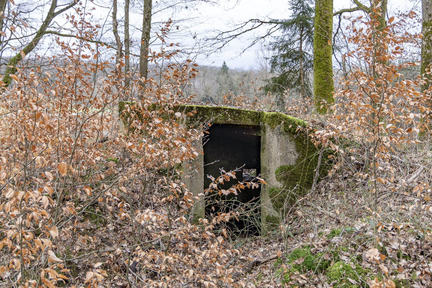 Ligne Maginot - FEEWALD - (Blockhaus pour arme infanterie) - 