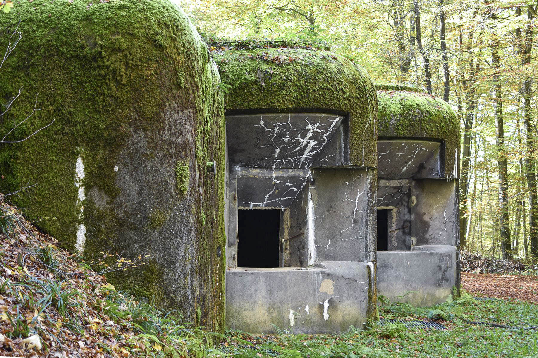 Ligne Maginot - 110 - BETTLACH - (Casemate d'artillerie) - 