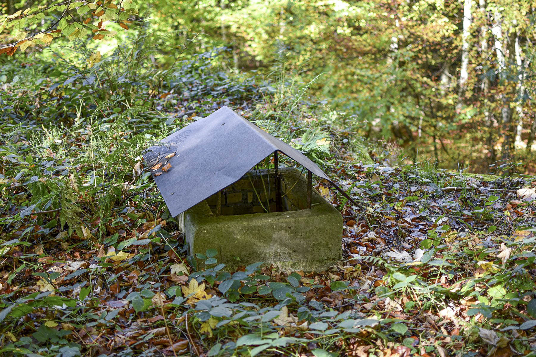 Ligne Maginot - 110 - BETTLACH - (Casemate d'artillerie) - Cheminée