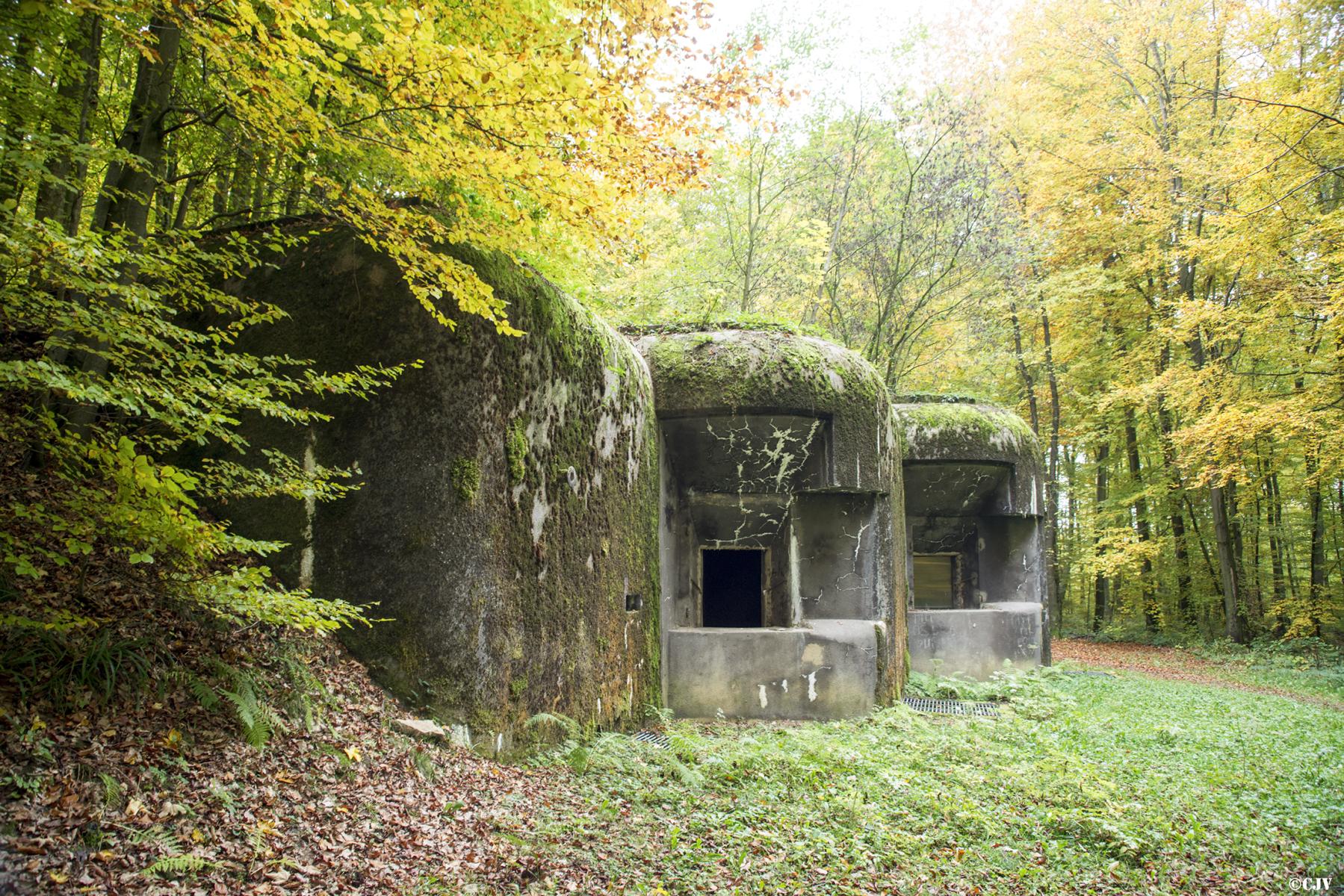 Ligne Maginot - 110 - BETTLACH - (Casemate d'artillerie) - 