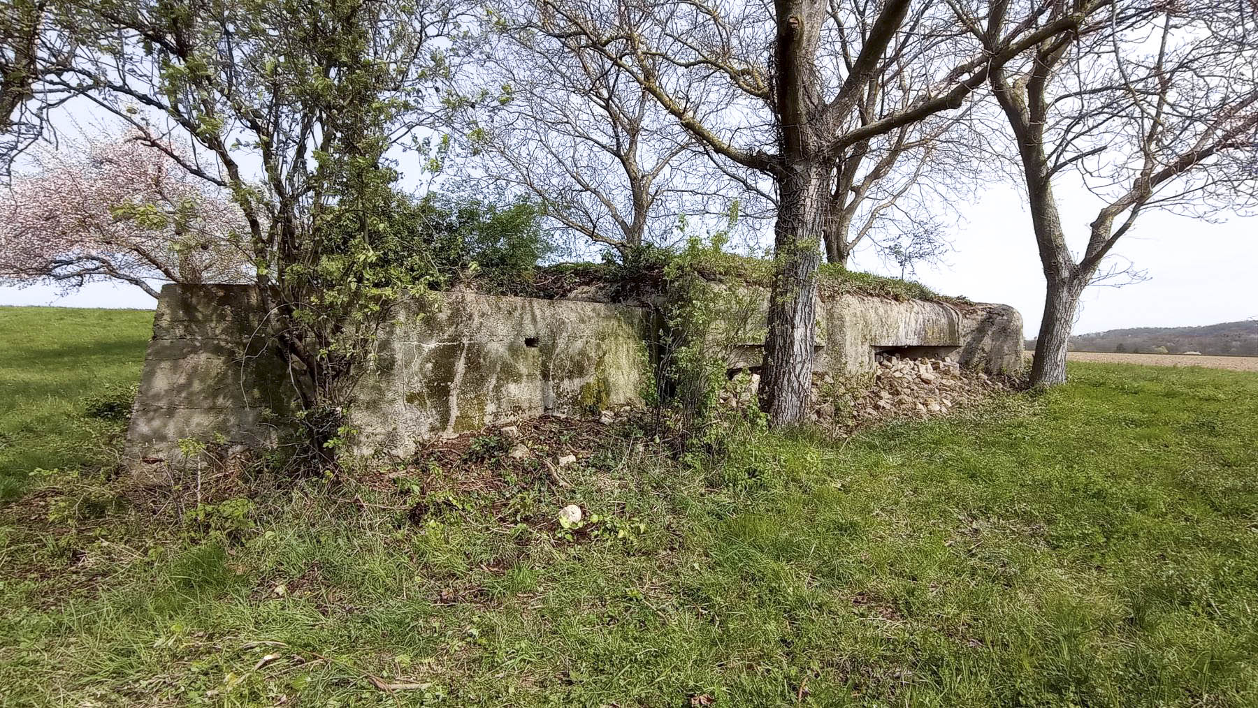 Ligne Maginot - KIRCHGRUBE SUD - (Blockhaus pour canon) - Vue générale 