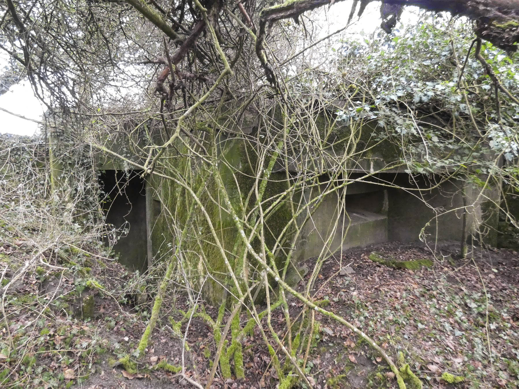 Ligne Maginot - BB8 - KOBENBERG - (Blockhaus pour canon) - L'entrée du blockhaus à gauche et le deuxième créneau mitrailleuse.