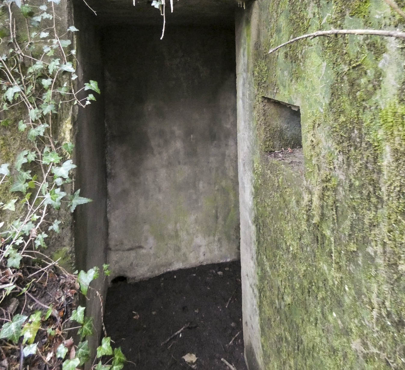 Ligne Maginot - BB8 - KOBENBERG - (Blockhaus pour canon) - L'entrée du blockhaus.