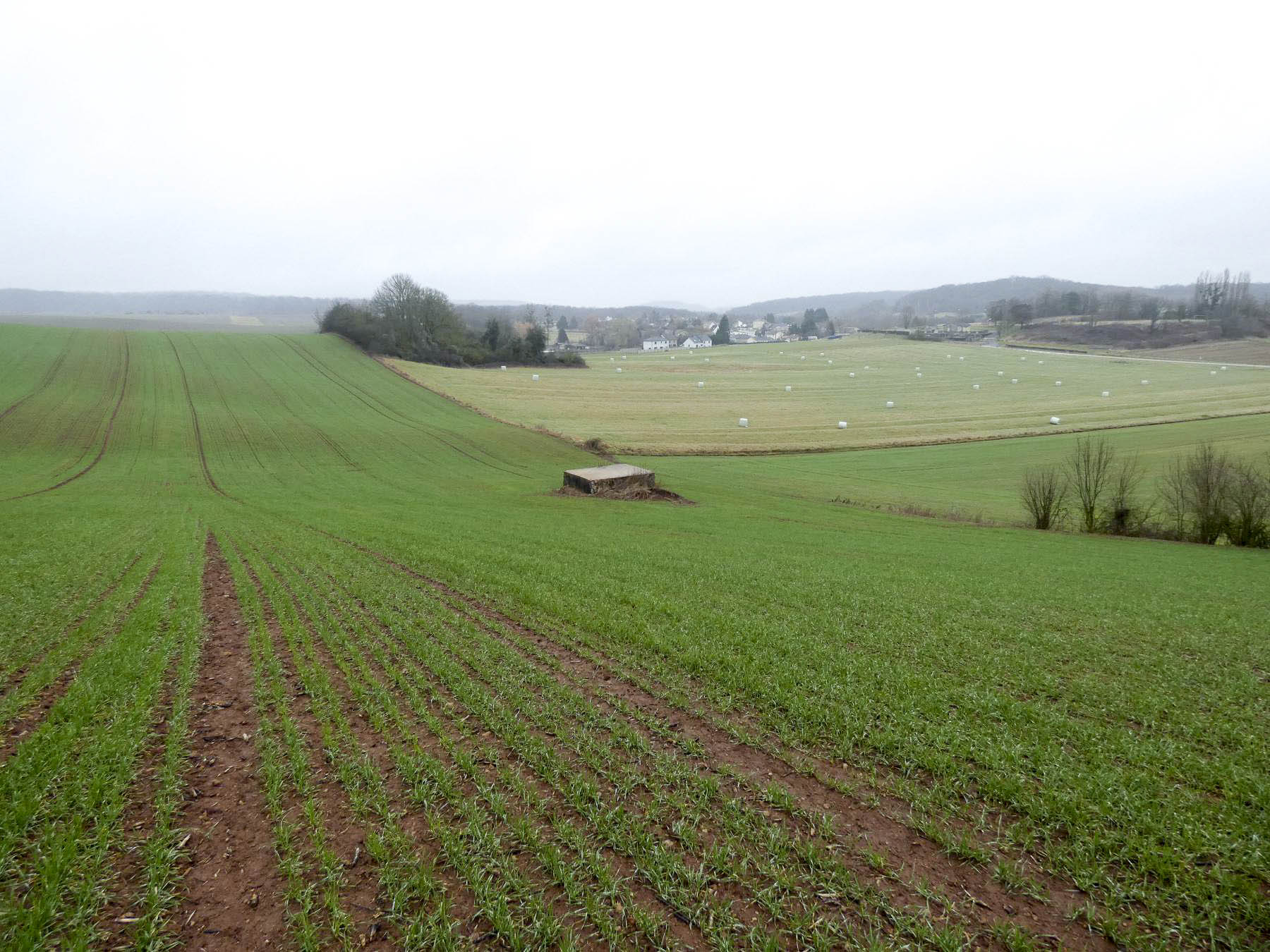 Ligne Maginot - BB318 - SANDBRUCKEN 1 - (Blockhaus pour arme infanterie) - Le blockhaus au milieu des champs. Le village de Férange est à l'arrière.