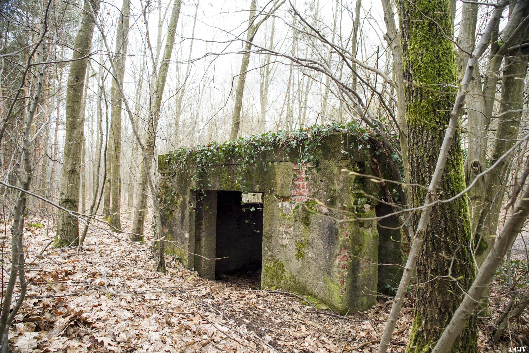 Ligne Maginot - HATTENER STANGER EST 1 - (Blockhaus pour canon) - 