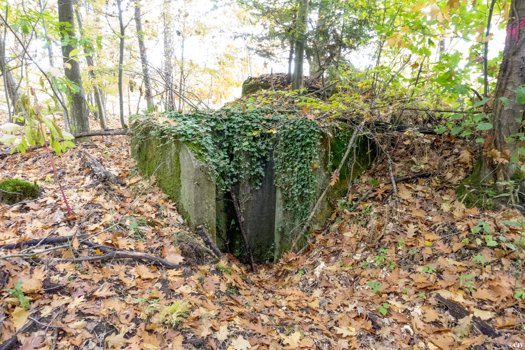 Ligne Maginot - KLOSTERGRABEN 1 - (Blockhaus pour arme infanterie) - 