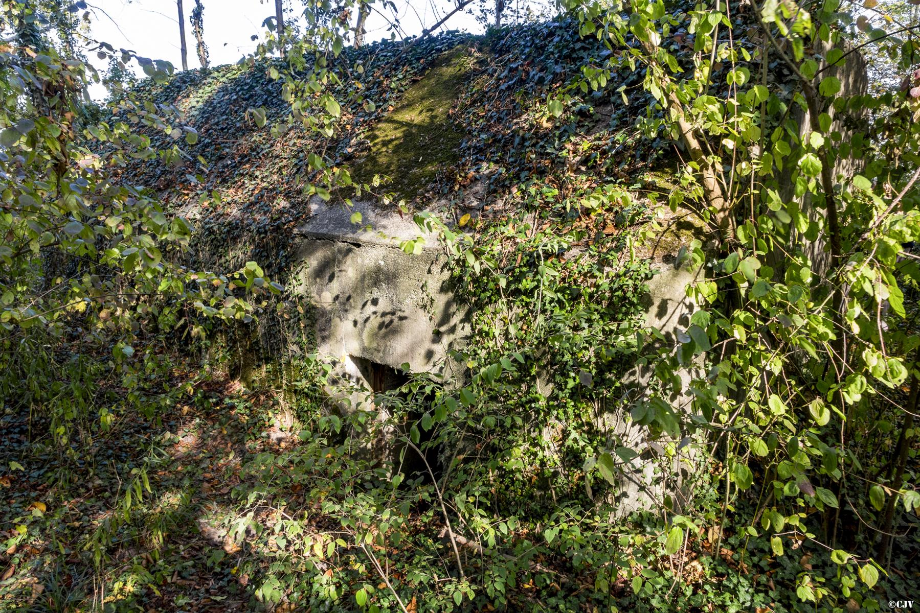 Ligne Maginot - BIERGRUND 2 - (Blockhaus pour arme infanterie) - Créneau