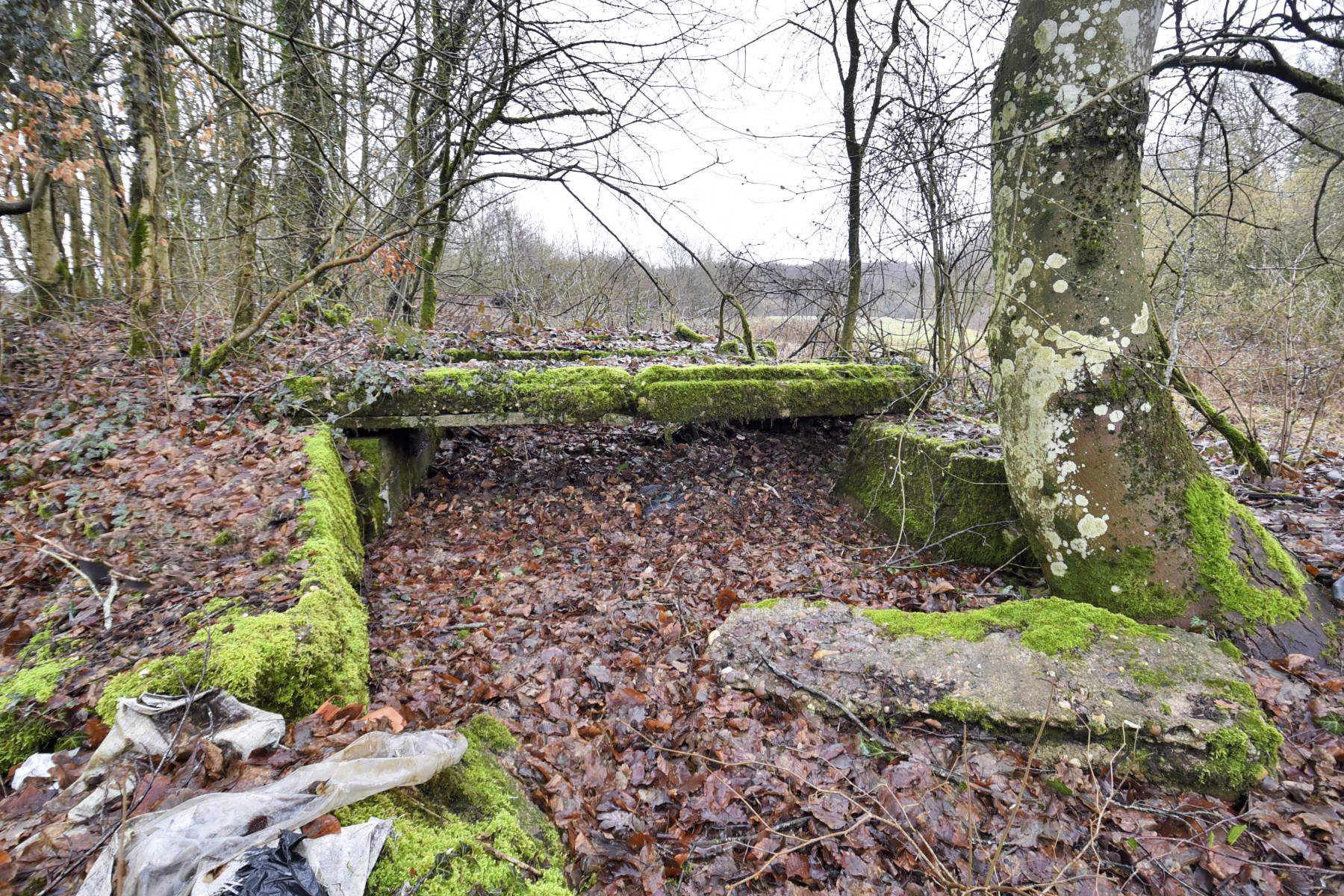 Ligne Maginot - BOIS DE CRUSNES 1 - (Blockhaus de type indéterminé) - 