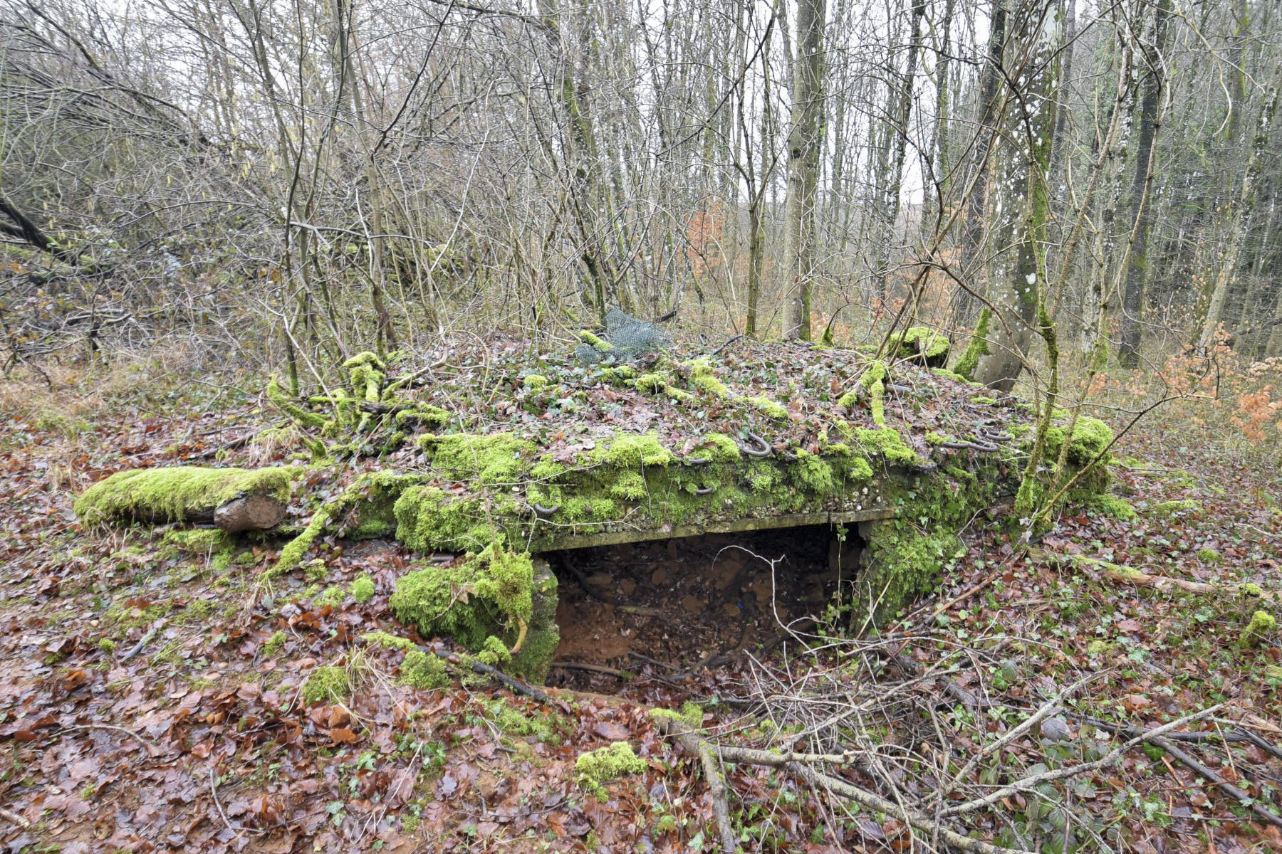 Ligne Maginot - BOIS DE CRUSNES 4 - (Blockhaus pour canon) - 