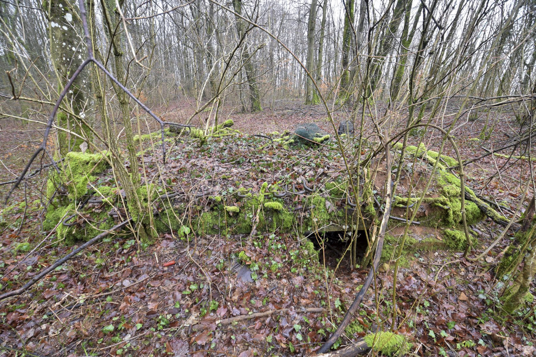 Ligne Maginot - BOIS DE CRUSNES 4 - (Blockhaus pour canon) - 