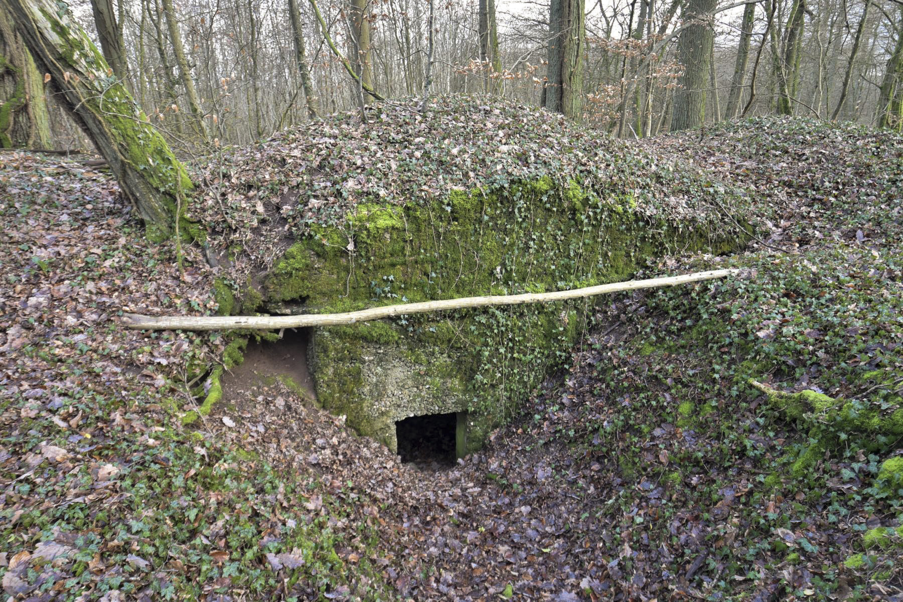 Ligne Maginot - KOBENBERG - (Abri) - 