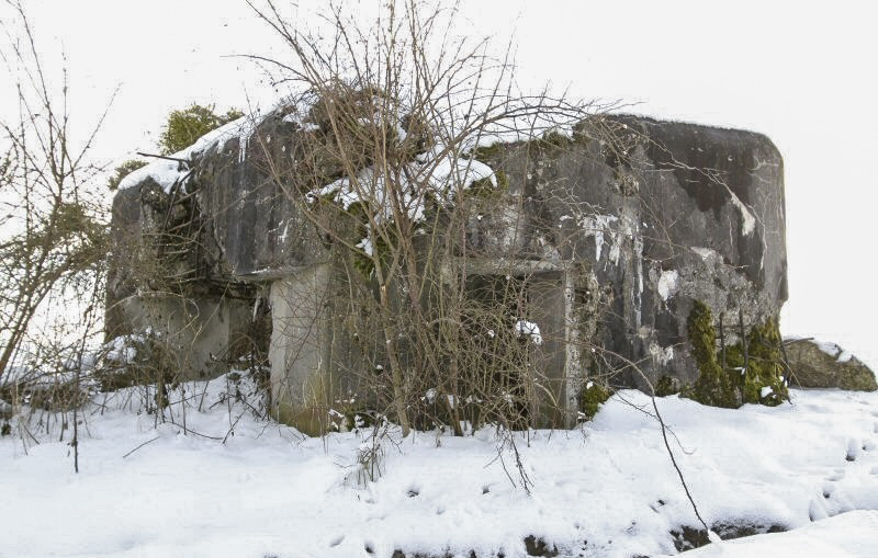 Ligne Maginot - AU SUD - (Blockhaus pour arme infanterie) - 