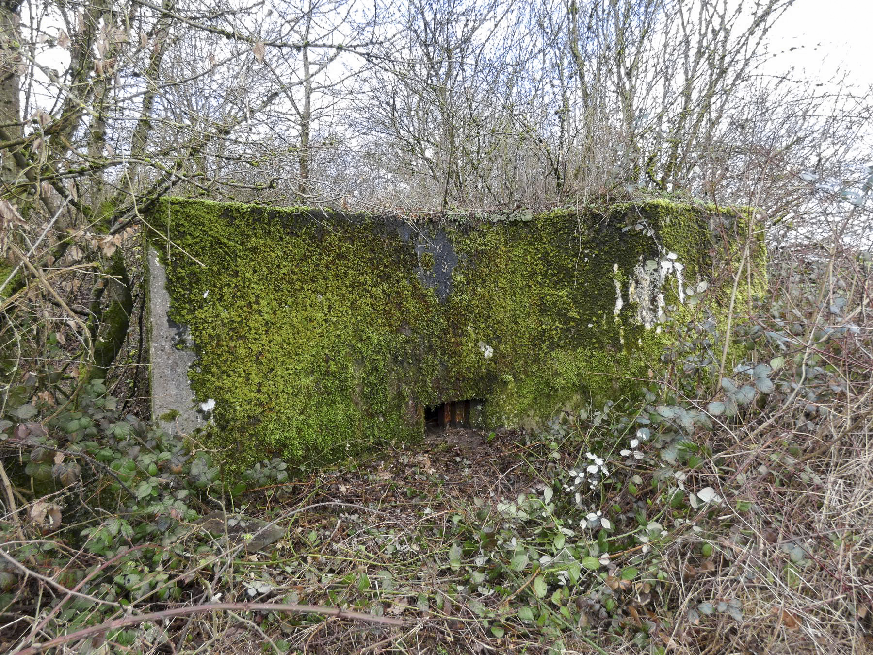 Ligne Maginot - BB346 - PFAFFENKLAUSERBUSCH OUEST - (Blockhaus pour arme infanterie) - La façade de tir du blockhaus.