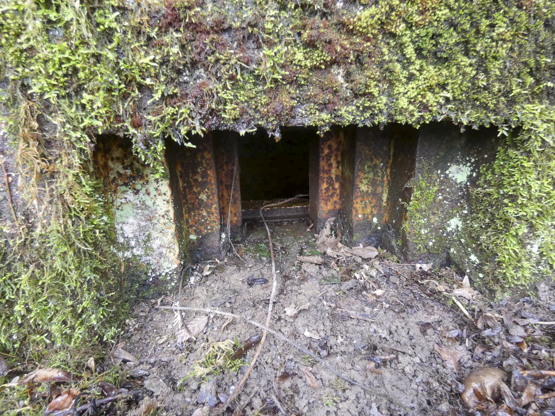 Ligne Maginot - BB346 - PFAFFENKLAUSERBUSCH OUEST - (Blockhaus pour arme infanterie) - L'embrasure pour mitrailleuse.